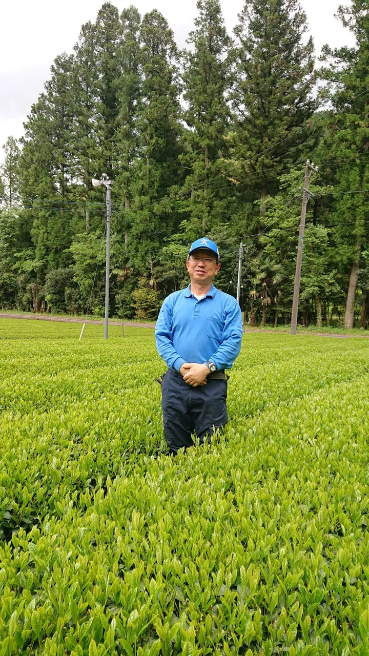 Tea fields and farmers in Shizuoka, Japan